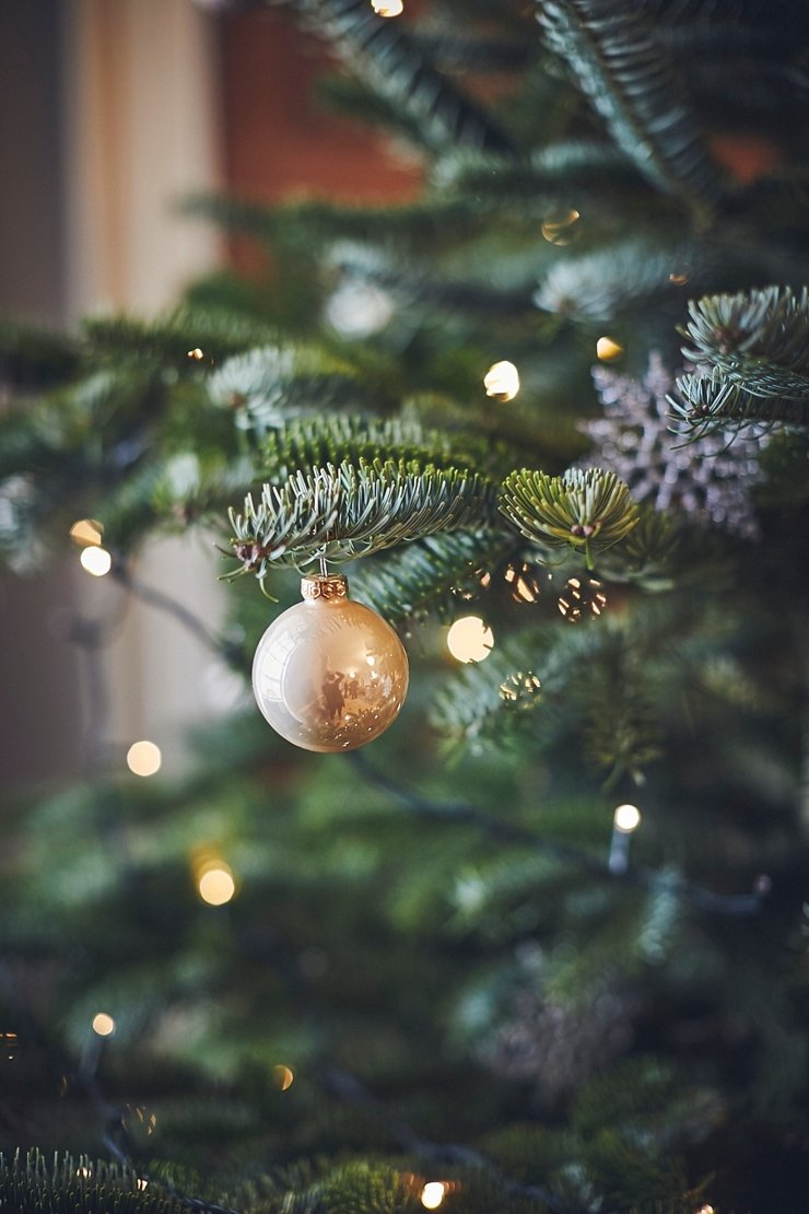 Christmas tree at Rockbeare Manor in Devon