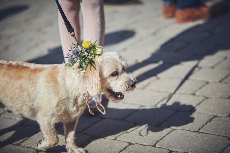 Wedding photography at Tunnels Beaches devon