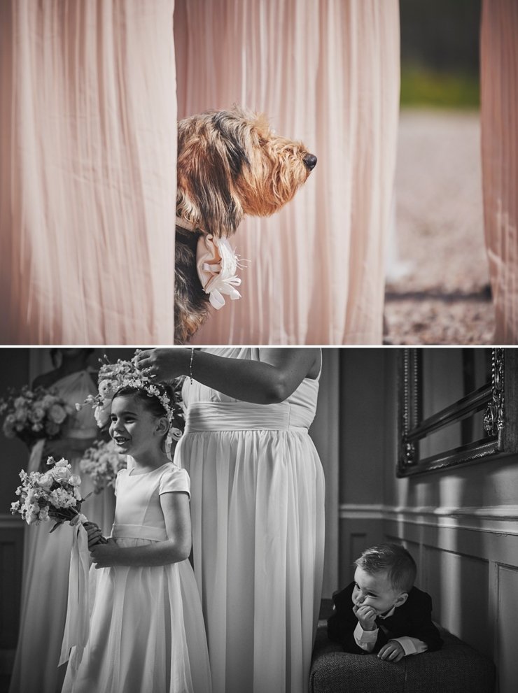 brides dog peeps between bridesmaids dresses Brickhouse vineyard