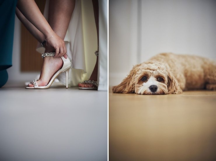 wedding dog at tunnels beaches