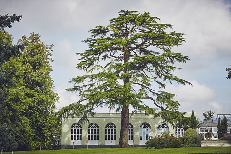 wedding photographers at Deer Park Hotel Devon